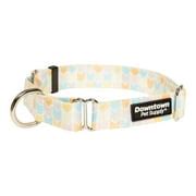 Buy Downtown Pet Supply Dog Collars for Small Dogs Wide Dog Collar ...