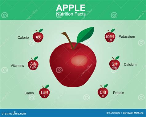 Apple Nutrition Facts, Apple Fruit with Information, Apple Vector Stock ...