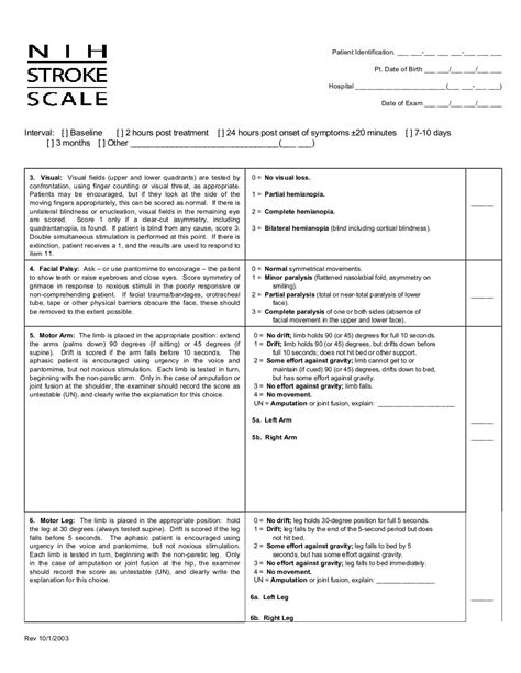 Nih Stroke Scale Scoring Sheet - Printable Free Templates