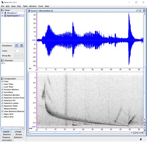 Image result for Copy and Paste Audio Software
