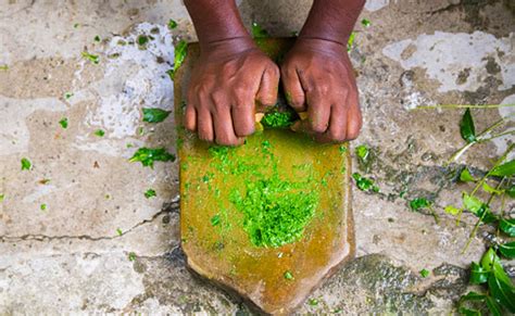 इन पत्तों की चटनी खाने से यूरिक एसिड का होगा सफाया? नसें हो जाएंगी साफ ...