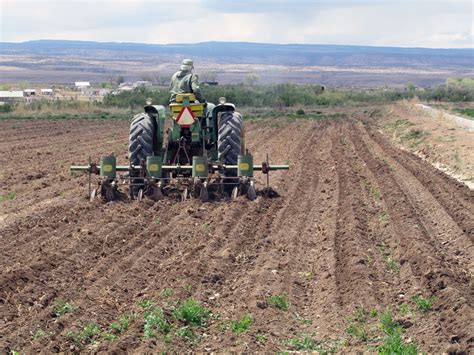 Image result for Corn Planting