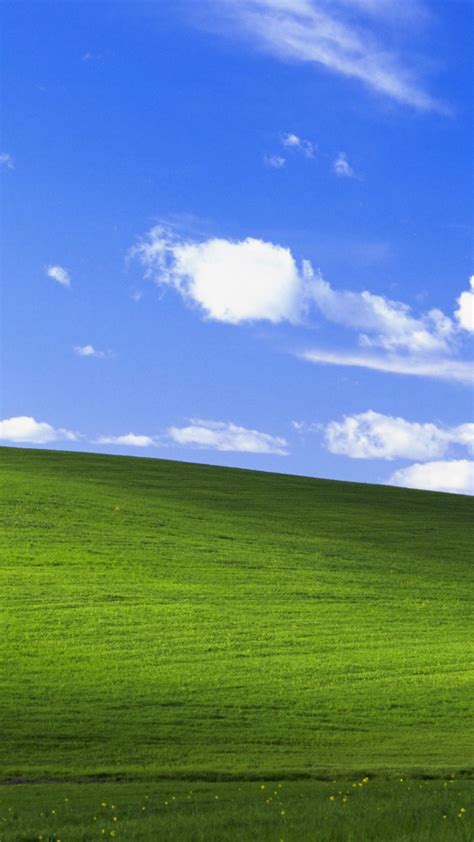 The Windows XP wallpaper 1996 vs. 2021 : r/nostalgia