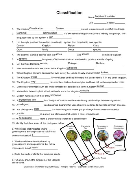 Image result for Classification Worksheet TES KS2