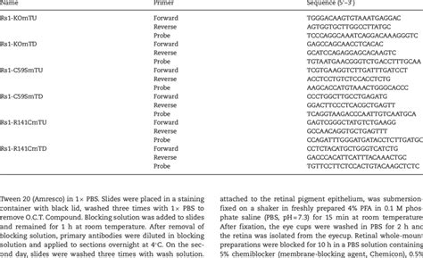 Image result for TaqMan Probe Structure