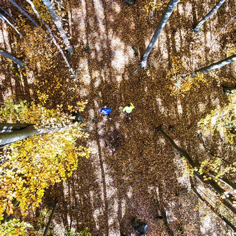 Fall Running 的图像结果