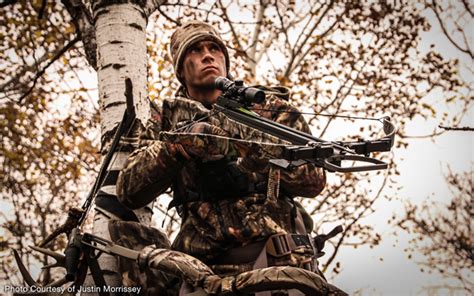 Image result for Crossbow Hunts in WI Using Luminox