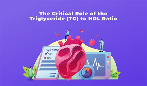 Understanding Triglyceride to HDL Ratios for Optimal Heart Health ...