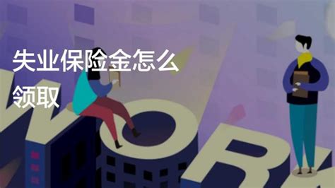 浙江省失业保险条例2022最新 - 地方条例 - 律科网