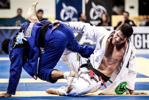 brazilian jiu jitsu schools