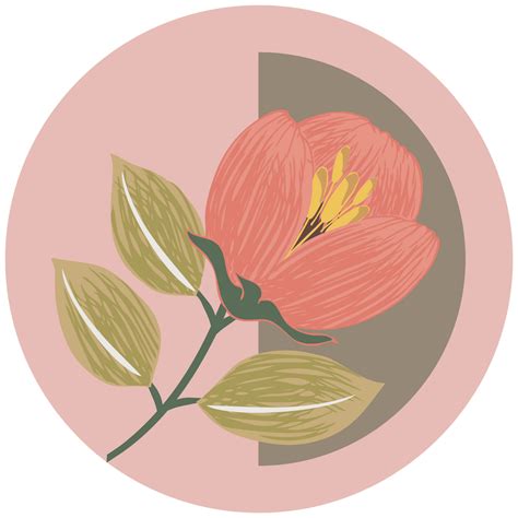 BOTANICAL GLOSSARY – Boho Botanist