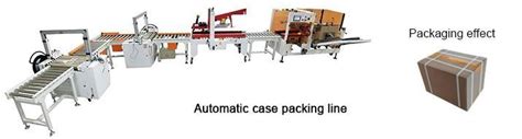 Image result for Automatic Case Packing Line