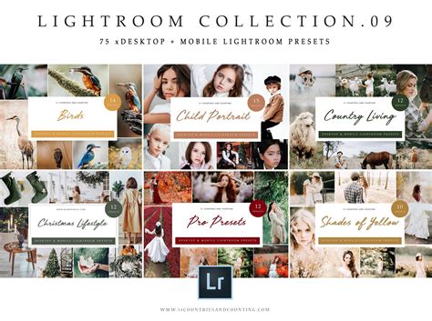 Lightroom Collection Set 的图像结果