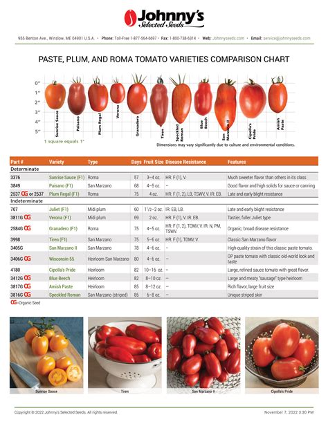 Are San Marzano Tomatoes Actually Worth It? — Ethan