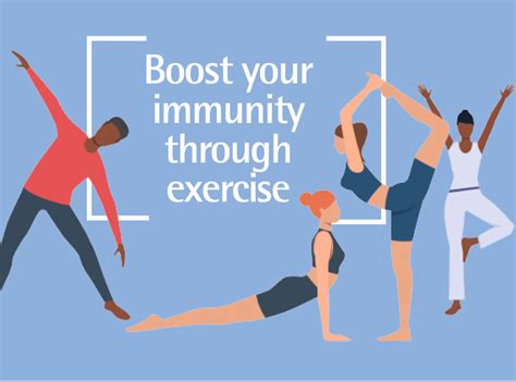 Image result for Immunity Exercise