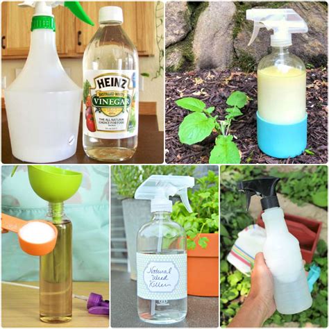 Diy Weed Killer With White Vinegar at Sandra Downs blog