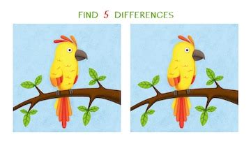Find five differences simple educational game for kids | Premium Photo
