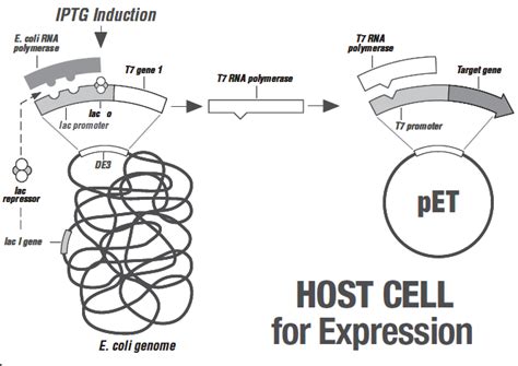 Image result for QR Code Patterns Encoding