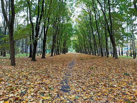 Road Path 的图像结果