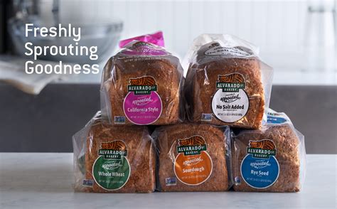 Alvarado Street Bakery – Addis