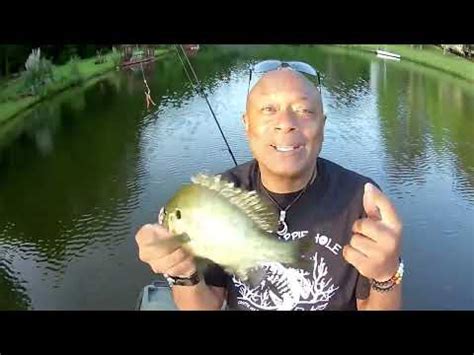 Image result for How to Catch Shellcrackers