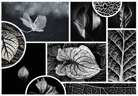 Image result for Pinterest Design Print