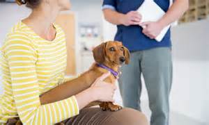 CVS seeks stock market upgrade after CMA climb-down on sector shake-up