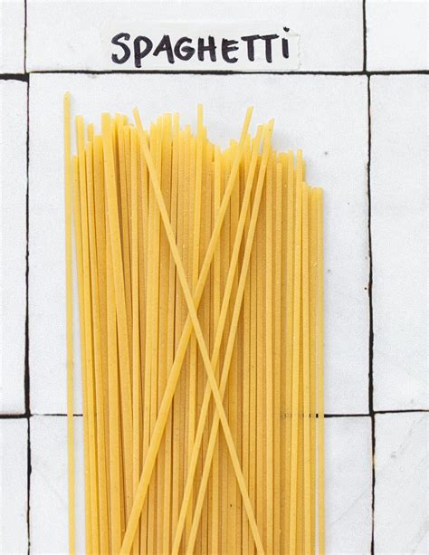 Types Of Pasta Noodles And When To Use Them at Nancy Guzman blog