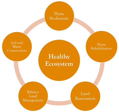 Implementation of Soil and Water Conservation in Indonesia and Its ...