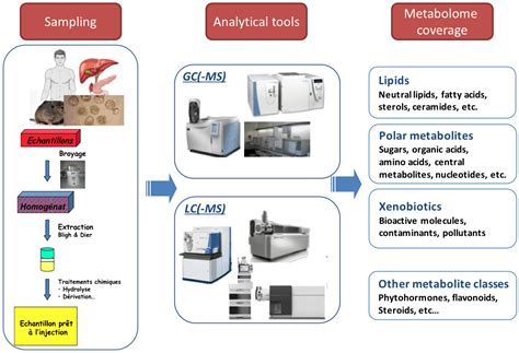 Image result for Metabolomics Tutorial