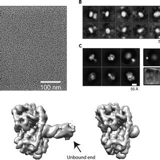 Image result for Data Processing Representative
