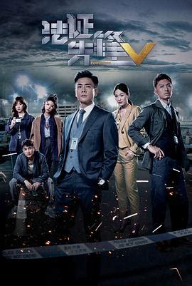 《法证先锋II》全集高清在线观看 - 中国香港电视剧 - 天龙影院