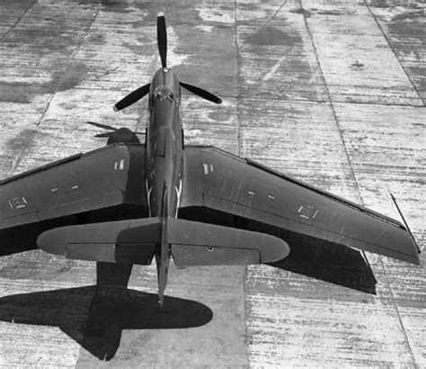 L-39: El King Cobra con alas de Sabre - Sandglass Patrol