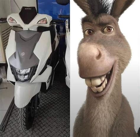 Donkey Shrek Meme Hworks Shrek Donkey Mask Halloween Cosplay Costume