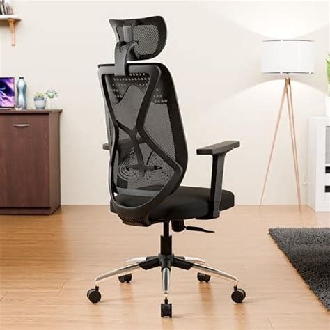 Featherlite Versa Home & Office Ergonomic Chair With, Adjustable Lumbar ...