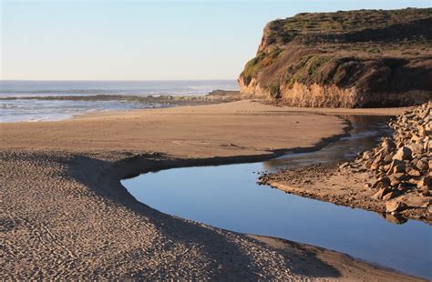 Scott Creek Beach in Davenport, CA - California Beaches