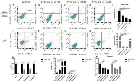 Study on the Regulatory Mechanism of the PDK1-Mediated TGF-β/Smad ...