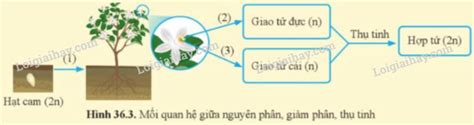 Image result for JavaScript Methods Cheat Sheet