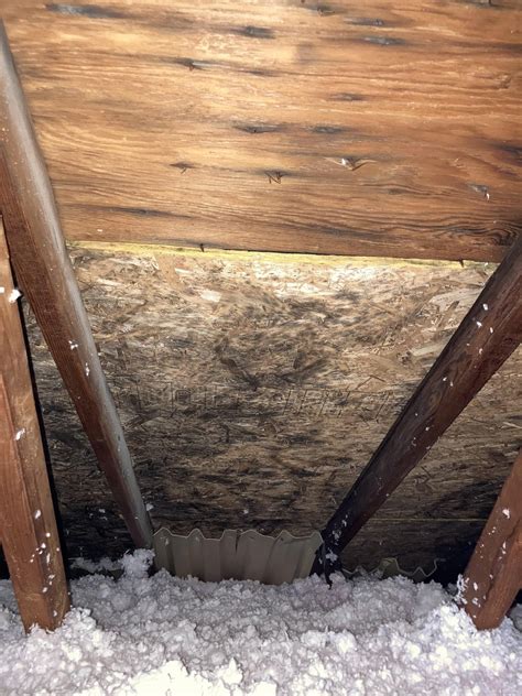 First time homeowners found mold in attic during inspection. Need ...