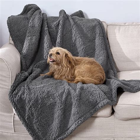 Best Waterproof Dog Bed Covers UK 2023 & How to Choose One