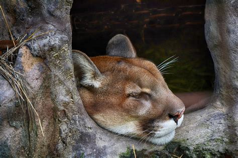 Subnet Scanner 的图像结果