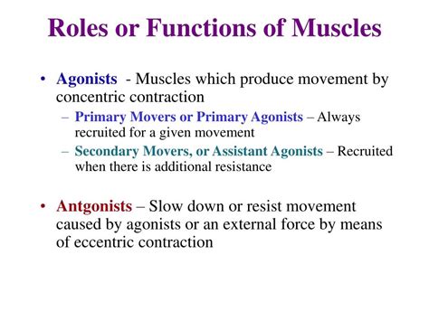 Image result for Functions of Muscles