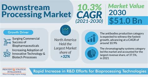 Downstream Processing Procedure 的图像结果
