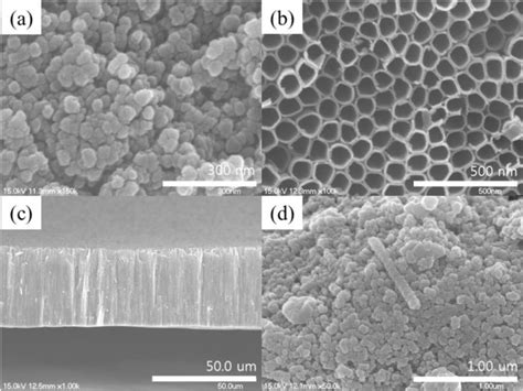 Characteristics of the Dye-Sensitized Solar Cells Using TiO2 Nanotubes ...