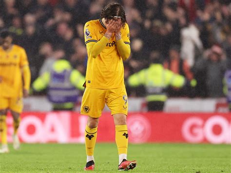 Image result for Wolves Forwards