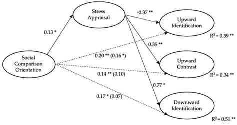 Social Comparison and Stress Appraisal in Women with Chronic Illness