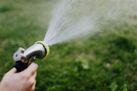 Bermuda Grass Watering Guide: How Much Does It Need