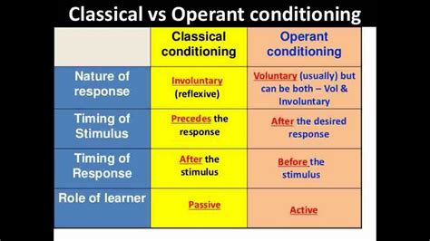 +Classical Condition Operant Conditioning 的图像结果