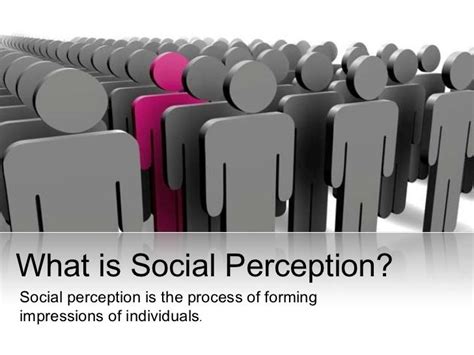 Social Perception Example 的图像结果