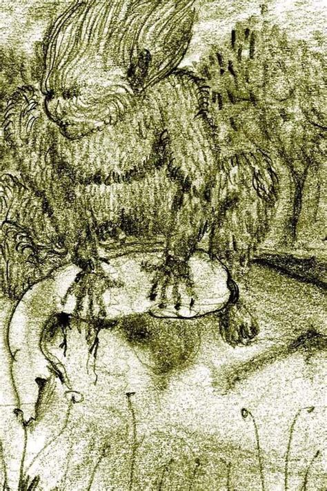 Il mito dell'Homo Selvaticus | Meer